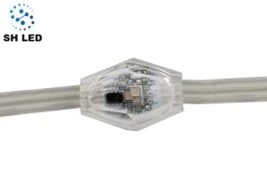 Krajinska svetilka SPI 3D Pixel LED žoga